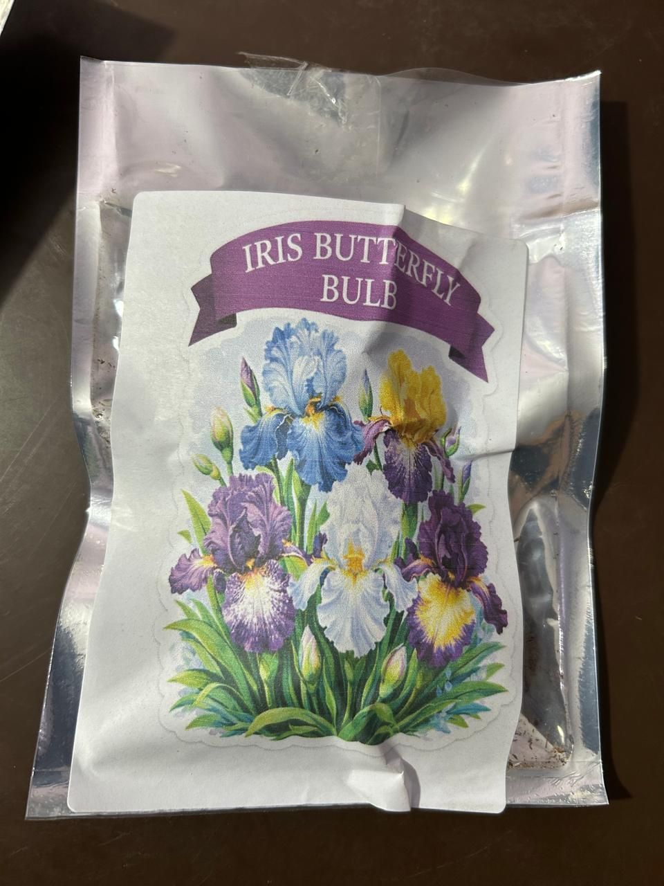 2 Bulbs Rare Tall Iris Seeds